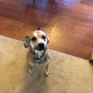 Meet your Posher, John